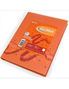 Cuaderno Gloria Tapa Dura 16x21 168hojas Rayado 100925